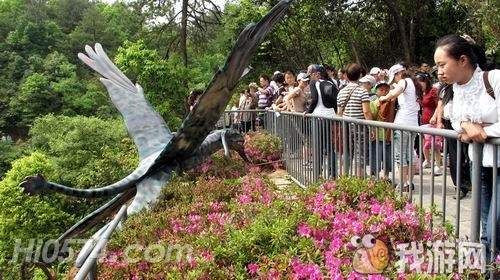阿凡达那鸟.jpg
